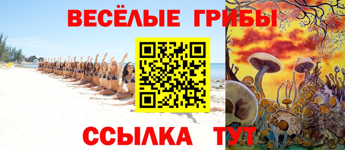 Усть-Лабинск  Галлюциногенные грибы мицелий  наркошоп  Вход с VPN 